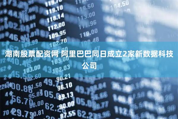湖南股票配资网 阿里巴巴同日成立2家新数据科技公司