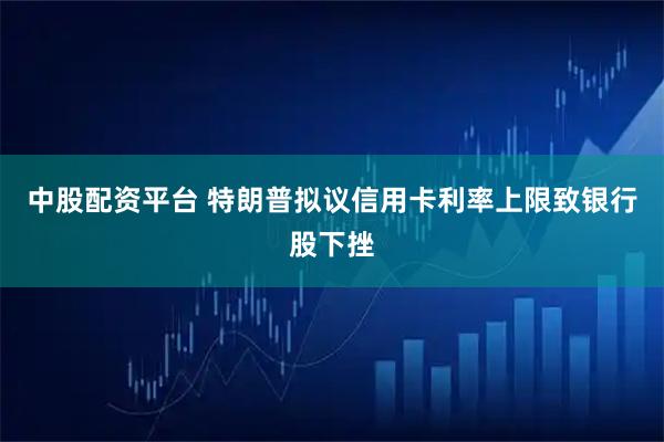 中股配资平台 特朗普拟议信用卡利率上限致银行股下挫