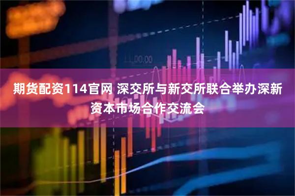 期货配资114官网 深交所与新交所联合举办深新资本市场合作交流会